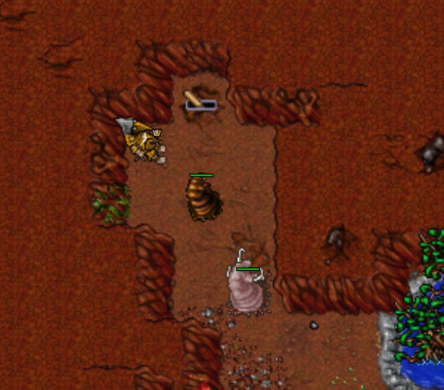 Rotworm Cave – 9