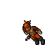 Assassin male