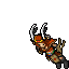 Hunter female